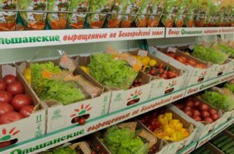 Белгородская область на форуме продовольственной безопасности