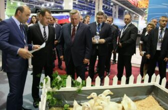 Дмитрий Медведев посетил Всероссийский форум продбезопасности