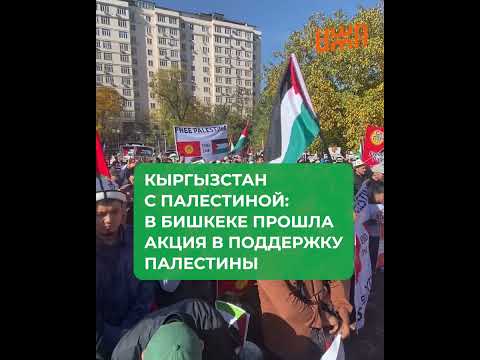 Кыргызстан — Палестина Прямая Трансляция 06.06.2026