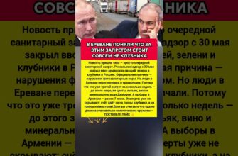 Россия ввела запрет на ввоз свежих овощей, зелени клубники и вишни из Армении. Последние новости